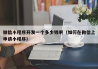 微信小程序開(kāi)發(fā)一個(gè)多少錢(qián)?。ㄈ绾卧谖⑿派仙暾?qǐng)小程序）
